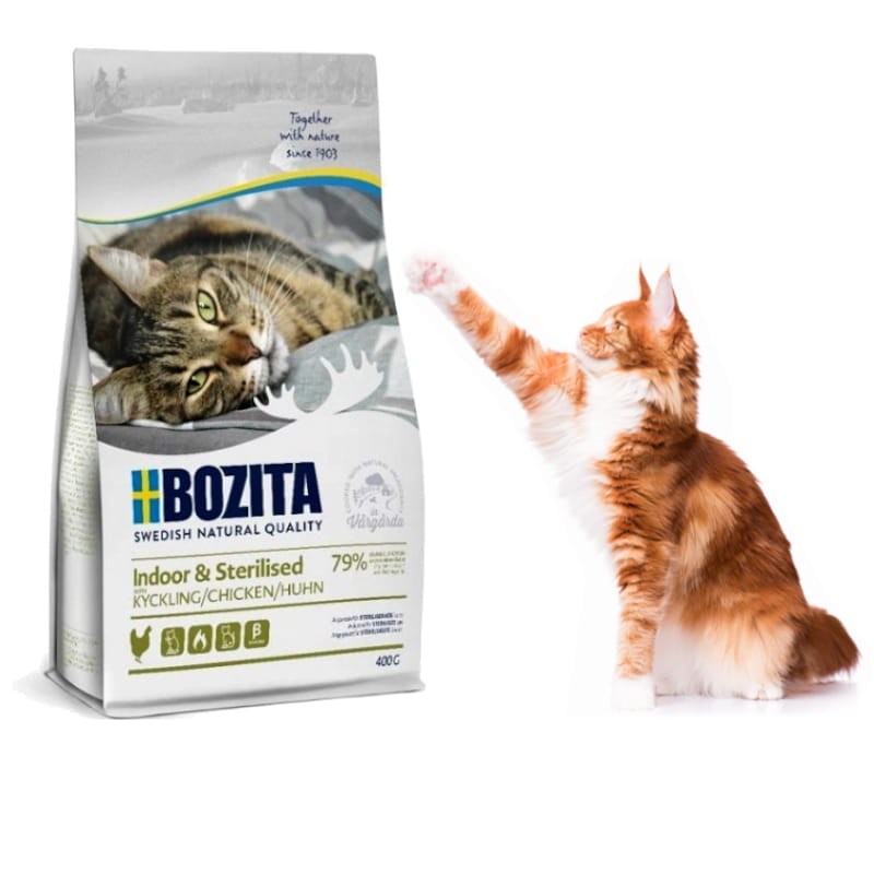 indoor kurczak 400g kot.jpg